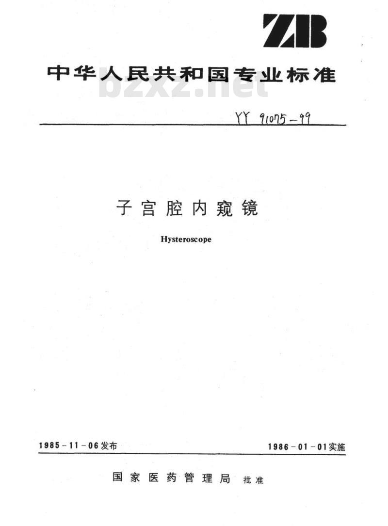 YY 91075-1999 子宫腔内窥镜