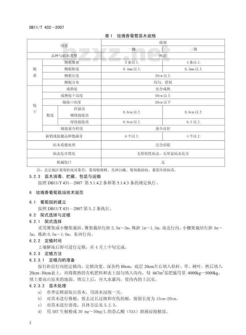 DB 11/T 432-2007 玫瑰香葡萄无公害生产综合技术