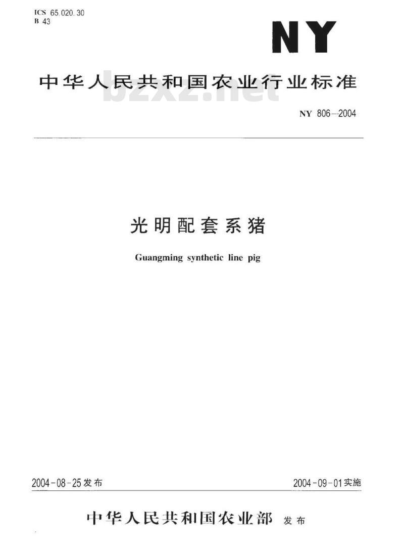 NY 806-2005 光明配套系猪