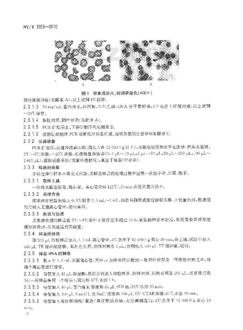 NY/T 1953-2010 猪附红细胞体病诊断技术规范