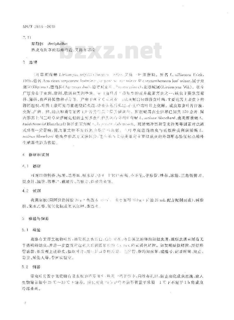 SN/T 2613-2010 三叶草斑潜蝇检疫鉴定方法