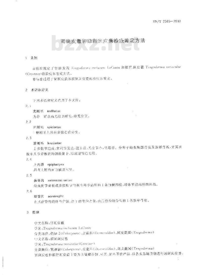 SN/T 2585-2010 肾斑皮蠹和拟肾斑皮蠹检疫鉴定方法