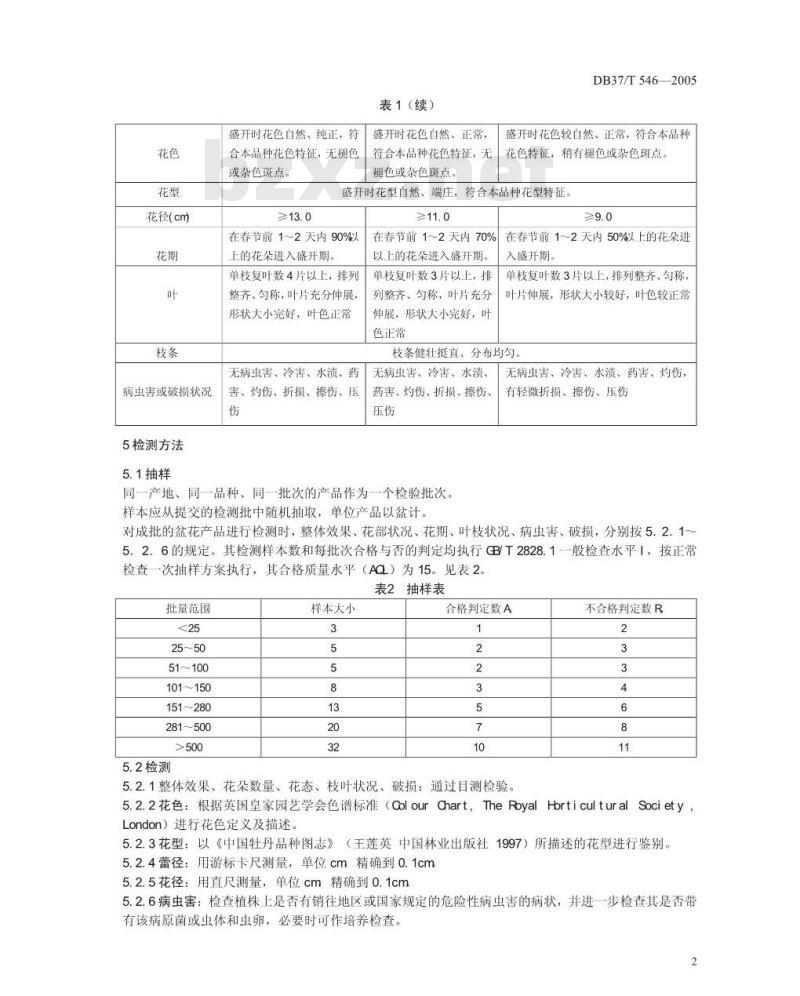 DB37/T 546-2005 牡丹春节促成栽培盆花