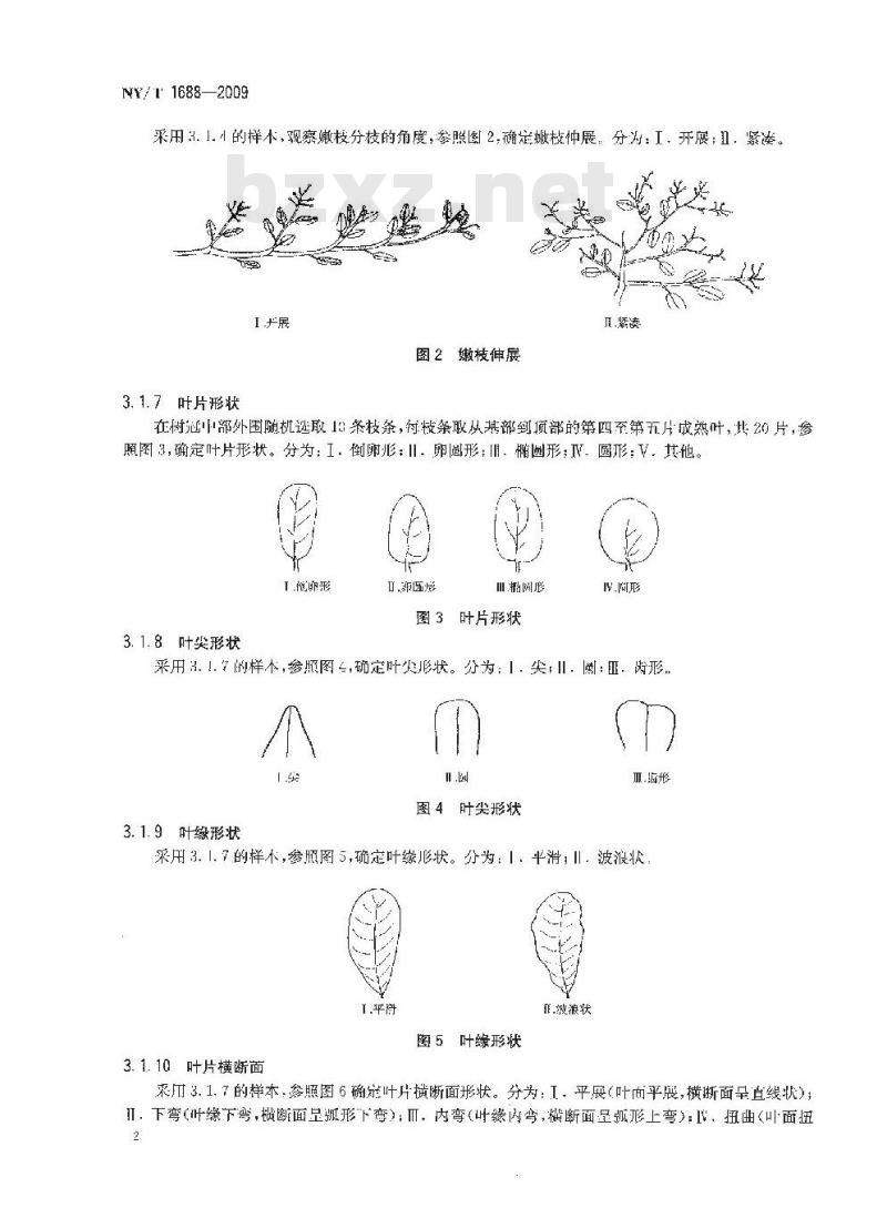 NY/T 1688-2009 腰果种质资源鉴定技术规范