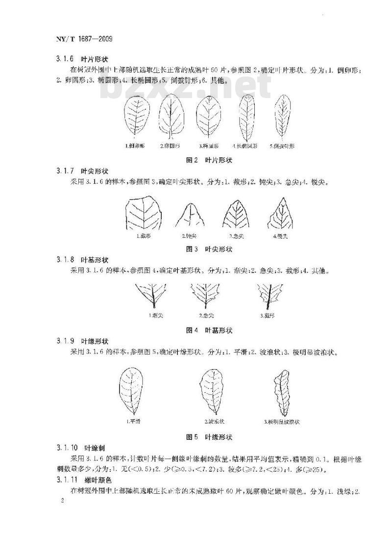 NY/T 1687-2009 澳洲坚果种质资源鉴定技术规范