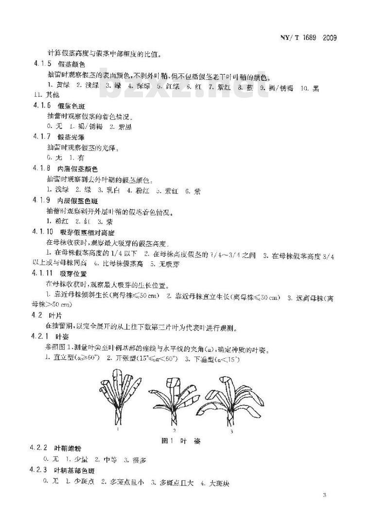 NY/T 1689-2009 香蕉种质资源描述规范