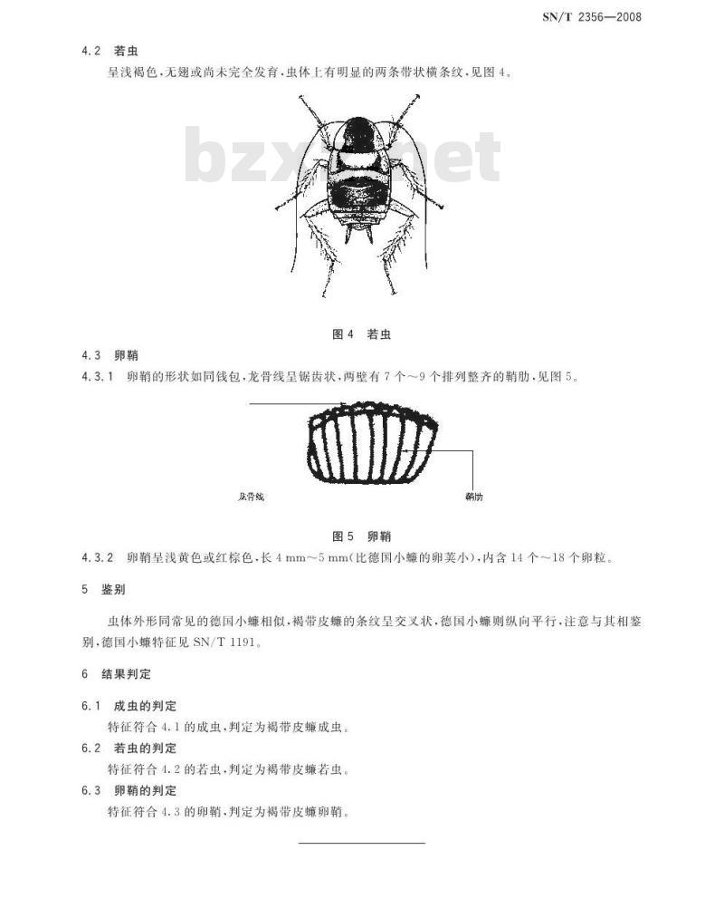 SN/T 2356-2009 褐带皮蠊鉴定方法