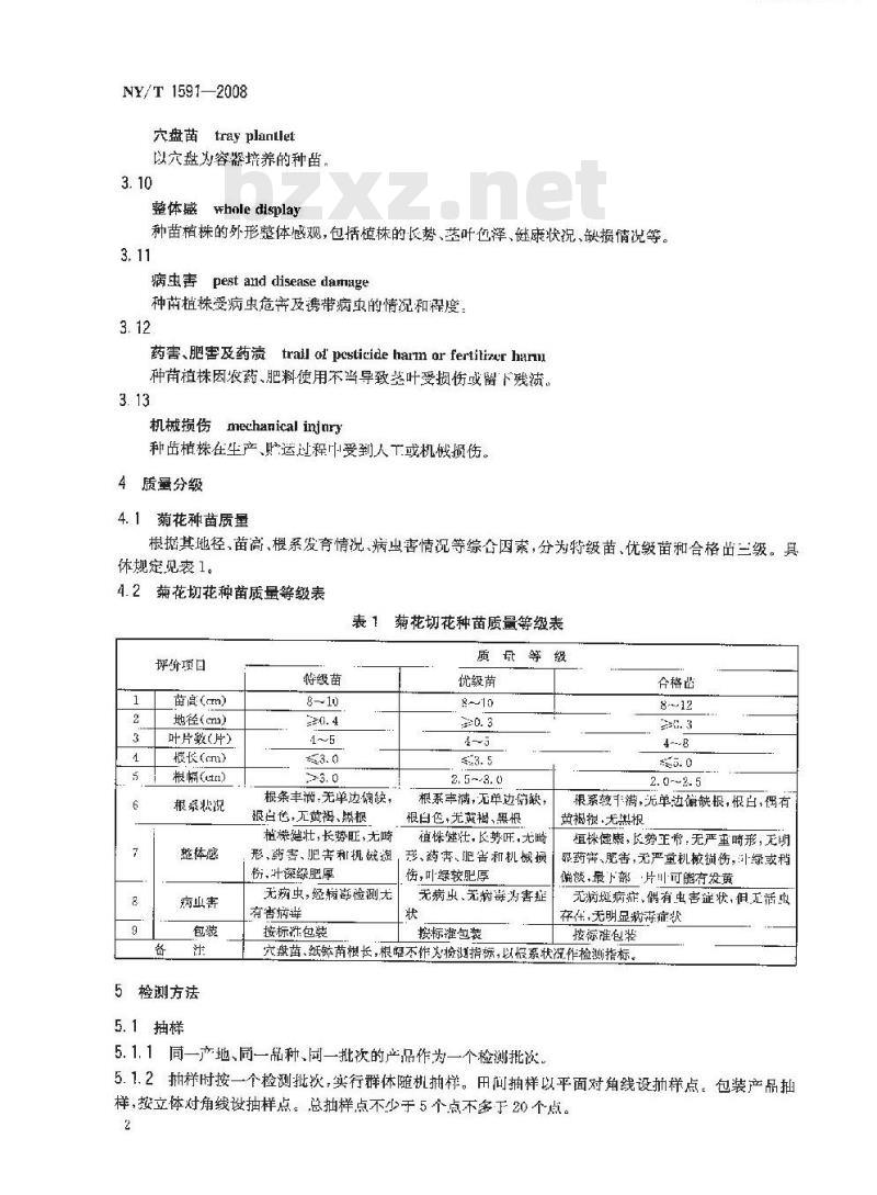NY/T 1591-2008 菊花切花种苗等级规格