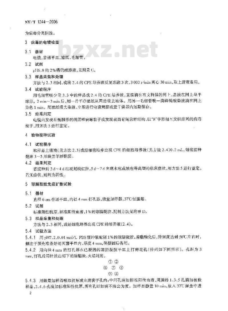 NY/T 1244-2006 接触传染性脓疱皮炎诊断技术
