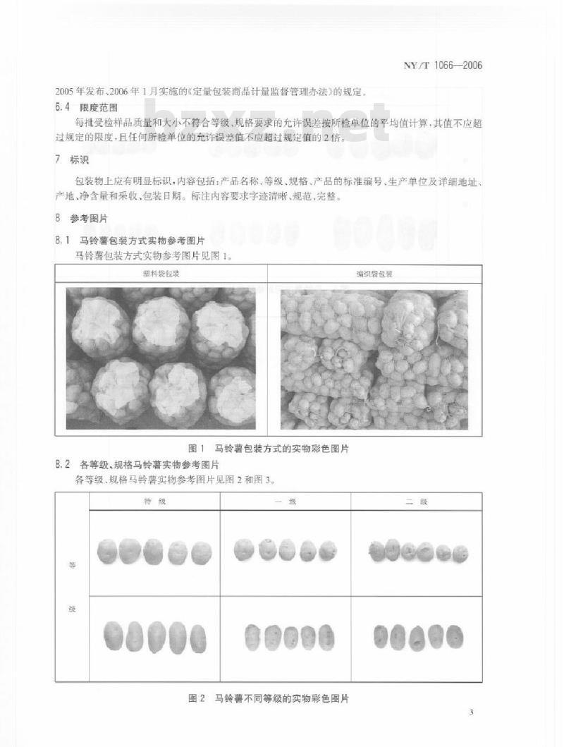 NY/T 1066-2006 马铃薯等级规格