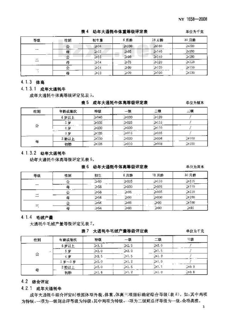 NY 1658-2008 大通牦牛