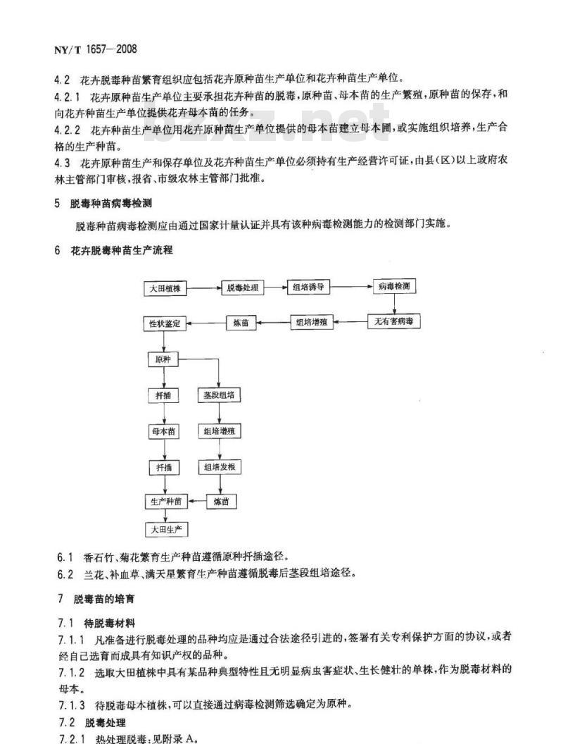 NY/T 1657-2008 花卉脱毒种苗生产技术规程香石竹、菊花、兰花、补血草、满天星