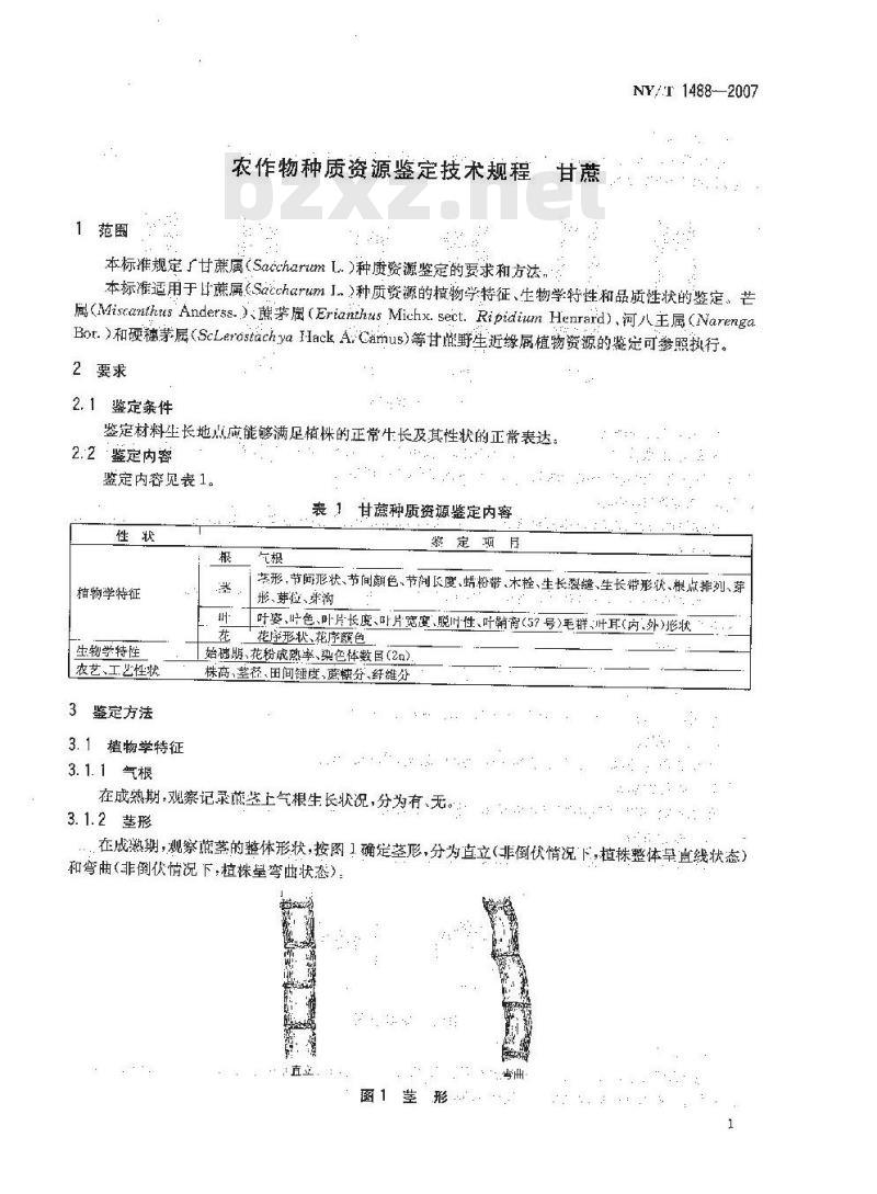 NY/T 1488-2007 农作物种质资源鉴定技术规程 甘蔗
