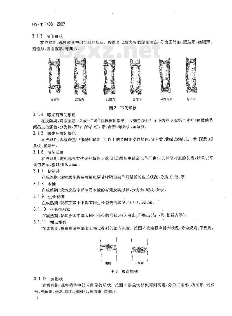 NY/T 1488-2007 农作物种质资源鉴定技术规程 甘蔗