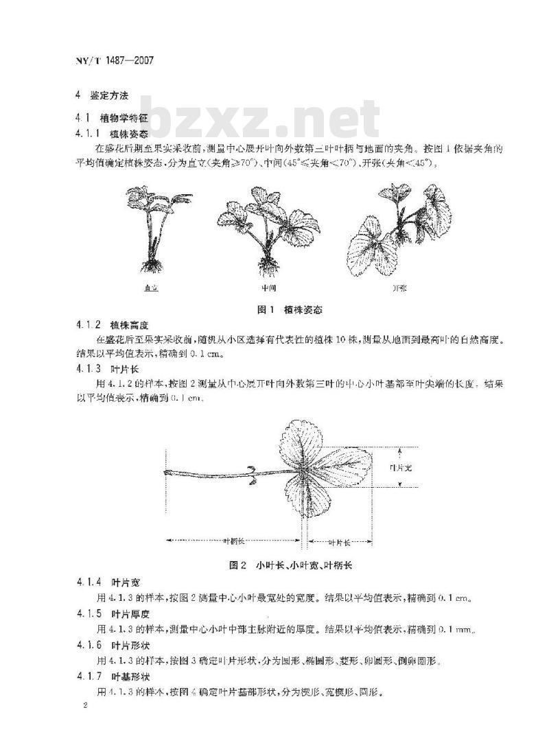 NY/T 1487-2007 农作物种质资源鉴定技术规程 草莓
