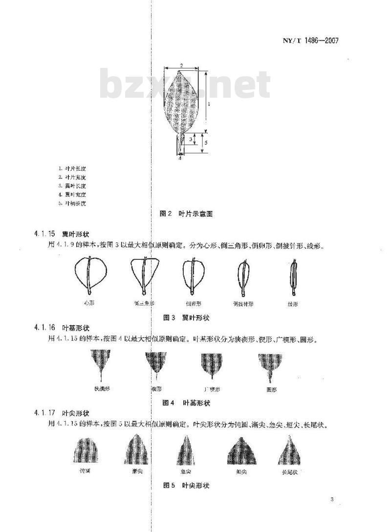 NY/T 1486-2007 农作物种质资源鉴定技术规程 柑橘