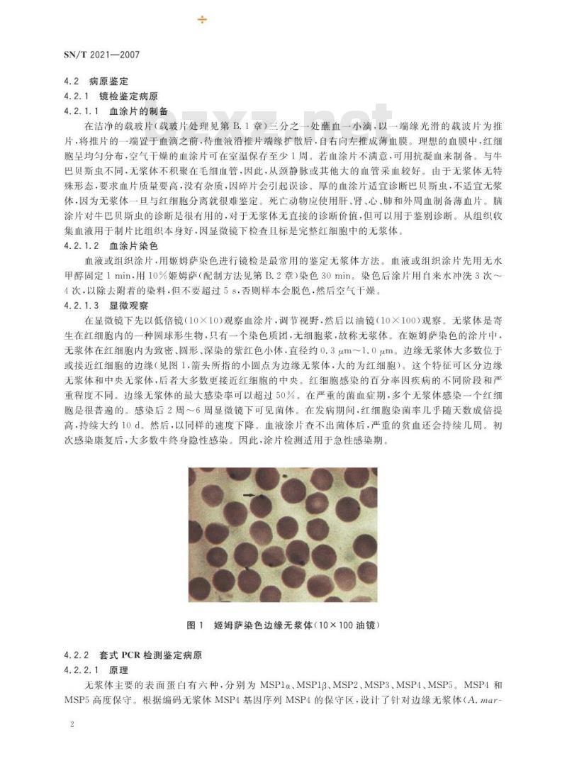 SN/T 2021-2007 牛无浆体病检疫技术规范