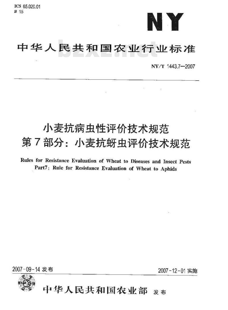 NY/T 1443.7-2007 小麦抗病虫性评价技术规范 第7部分:小麦抗蚜虫评价技术技术规范