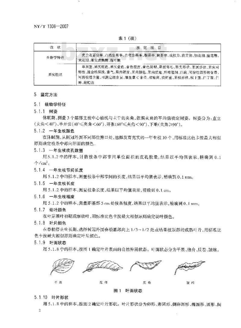 NY/T 1306-2007 农作物种质资源鉴定技术规程 杏