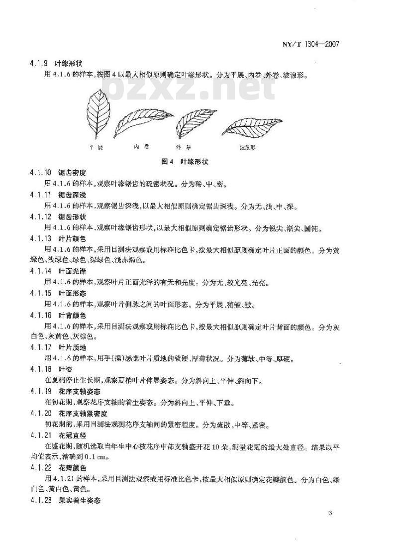 NY/T 1304-2007 农作物种质资源鉴定技术规程 枇杷
