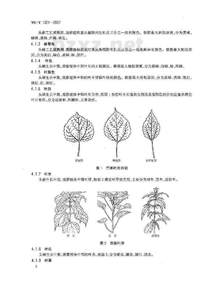NY/T 1321-2007 农作物种质资源鉴定技术规程 苎麻