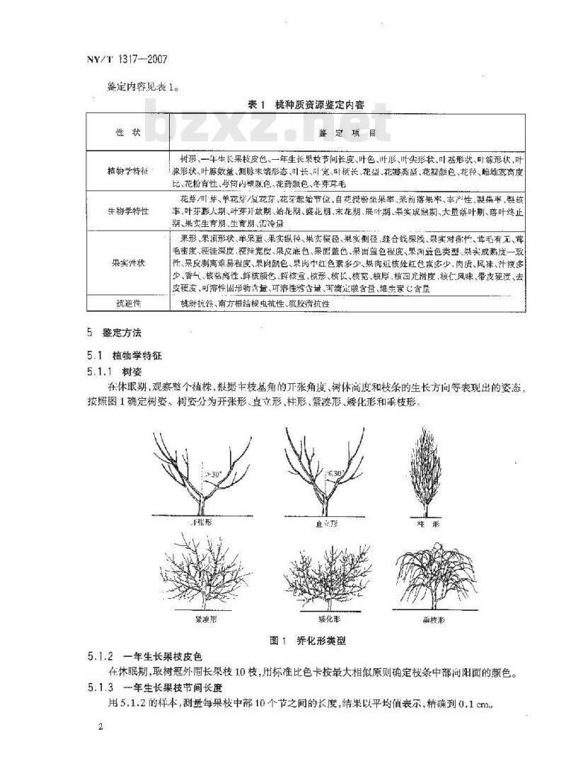 NY/T 1317-2007 农作物种质资源鉴定技术规程 桃