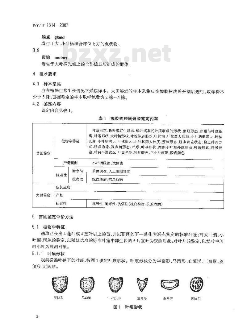 NY/T 1314-2007 农作物种质资源鉴定技术规程 橡胶树