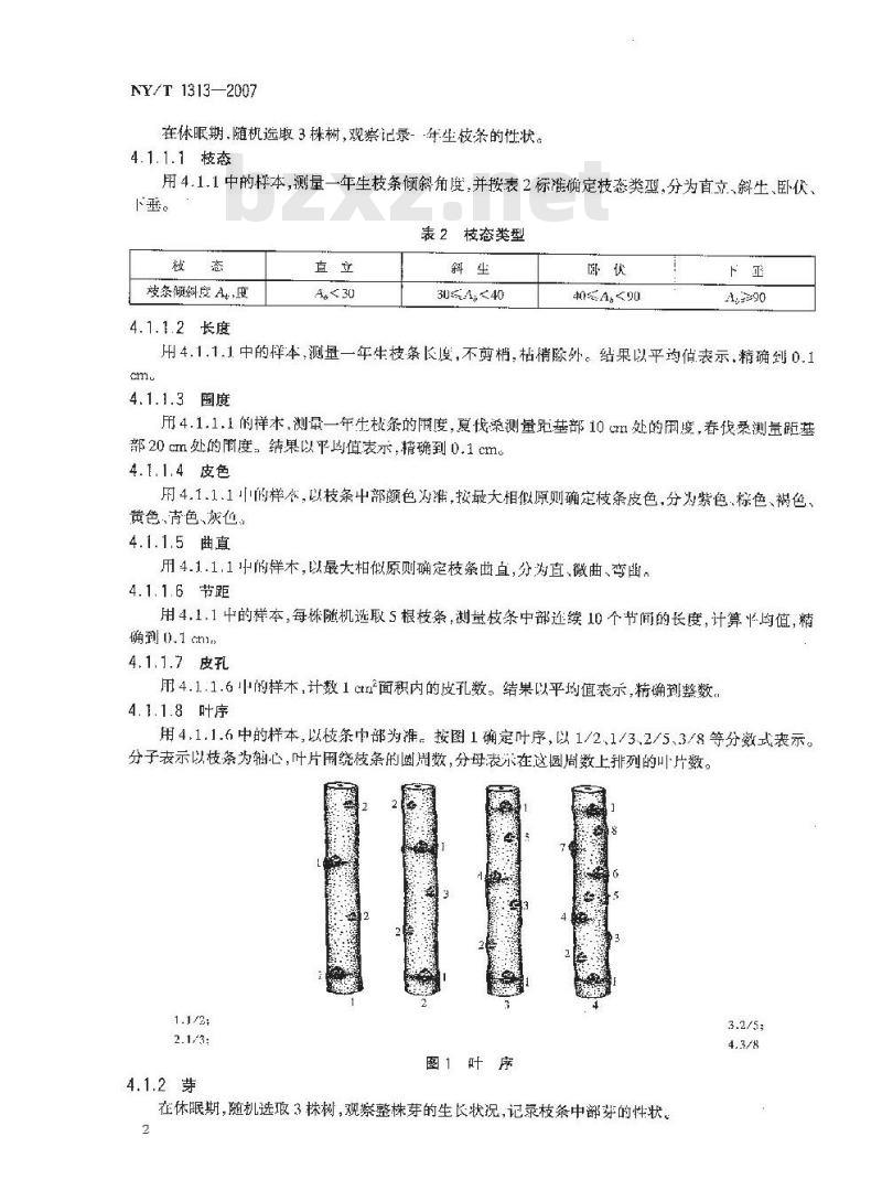 NY/T 1313-2007 农作物种质资源鉴定技术规程 桑树