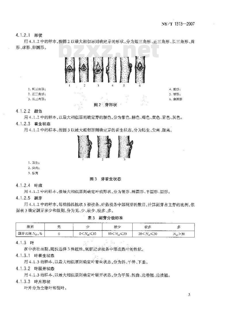 NY/T 1313-2007 农作物种质资源鉴定技术规程 桑树