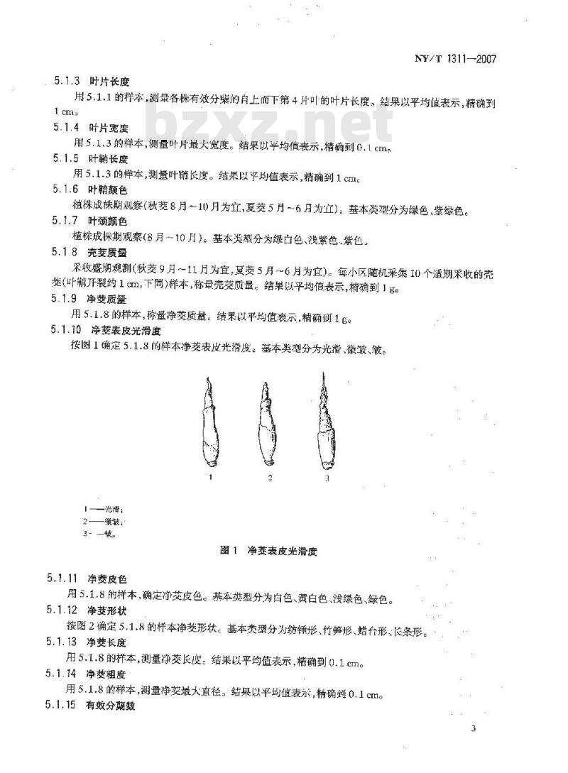 NY/T 1311-2007 农作物种质资源鉴定技术规程 茭白