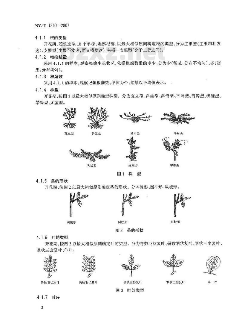 NY/T 1310-2007 农作物种质资源鉴定技术规程 豆科牧草