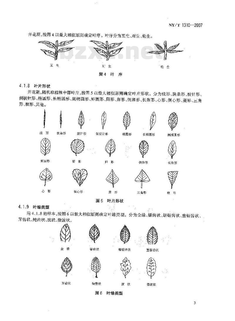 NY/T 1310-2007 农作物种质资源鉴定技术规程 豆科牧草