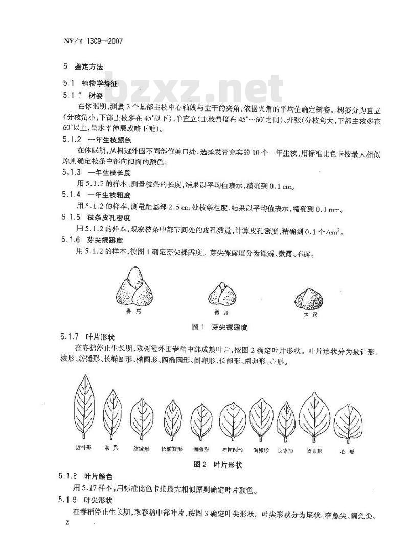NY/T 1309-2007 农作物种质资源鉴定技术规程 柿