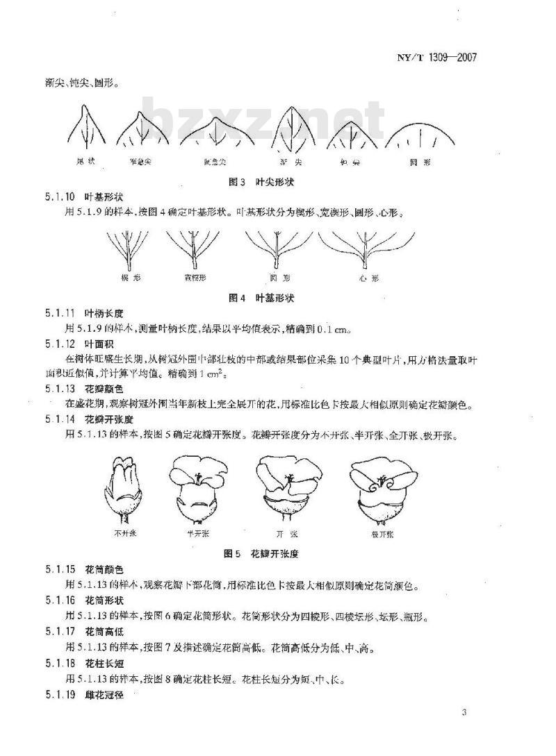 NY/T 1309-2007 农作物种质资源鉴定技术规程 柿
