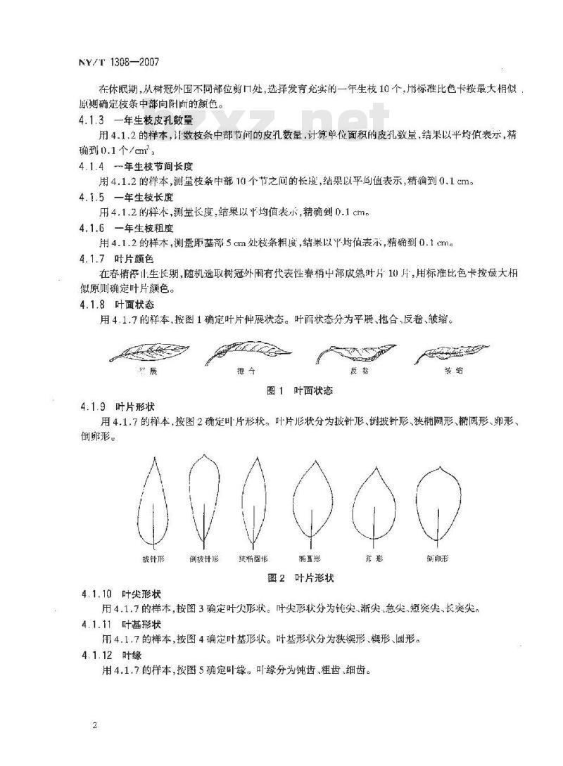 NY/T 1308-2007 农作物种质资源鉴定技术规程 李
