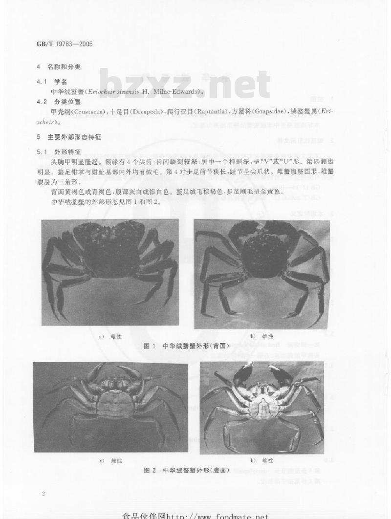 GB/T 19783-2005 中华绒螯蟹