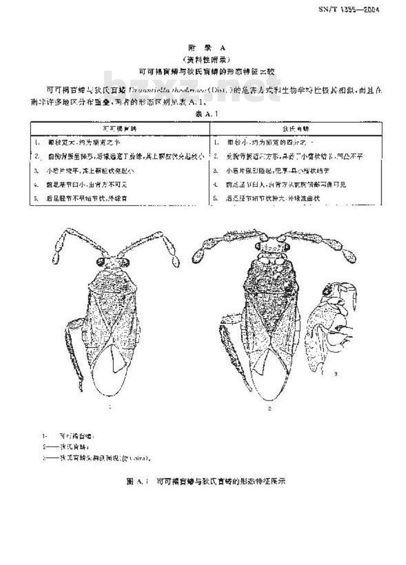SN/T 1355-2004 可可褐盲蝽检疫鉴定方法