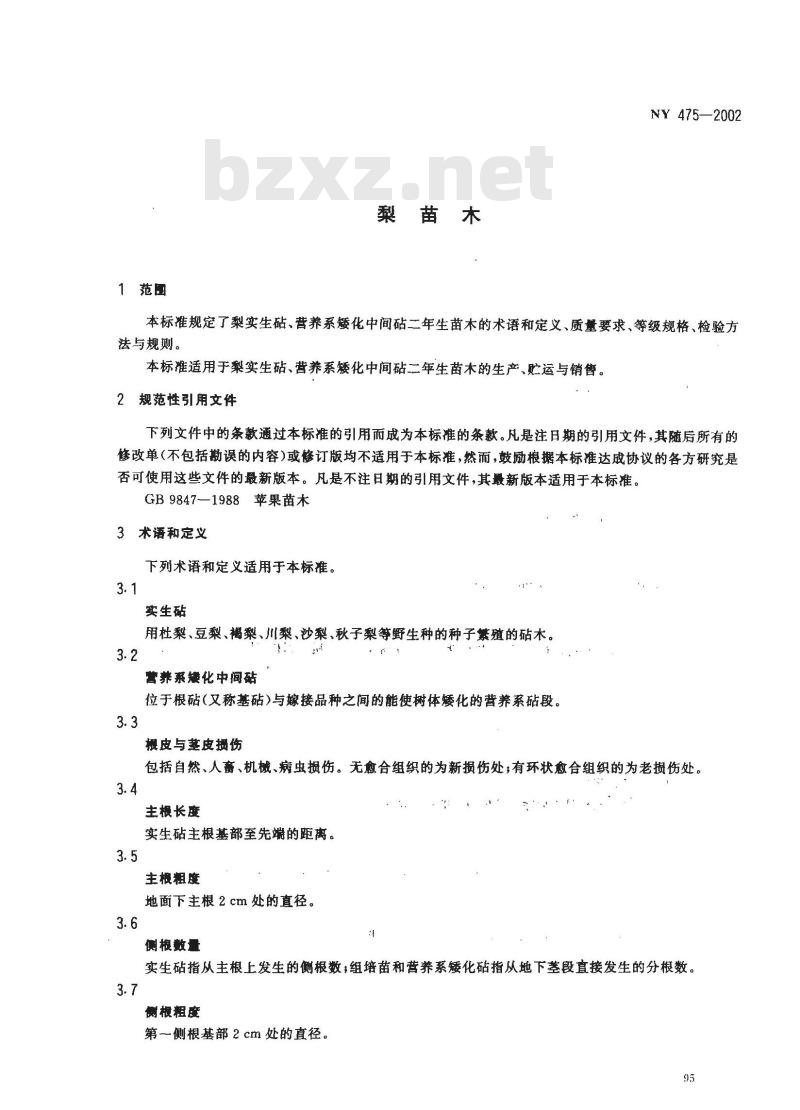NY 475-2002 梨苗木