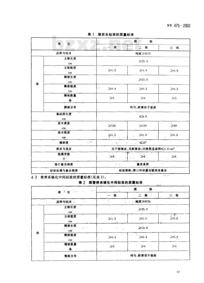 NY 475-2002 梨苗木