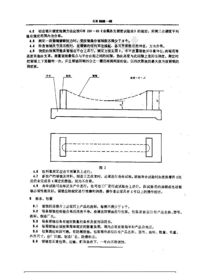 GB/T 5389-1985 链锯 锯链