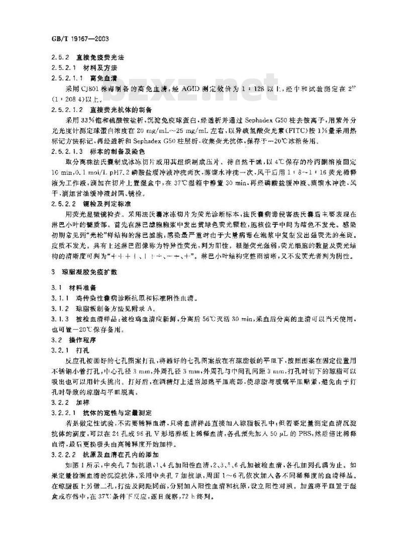 GB/T 19167-2003 传染性囊病诊断技术
