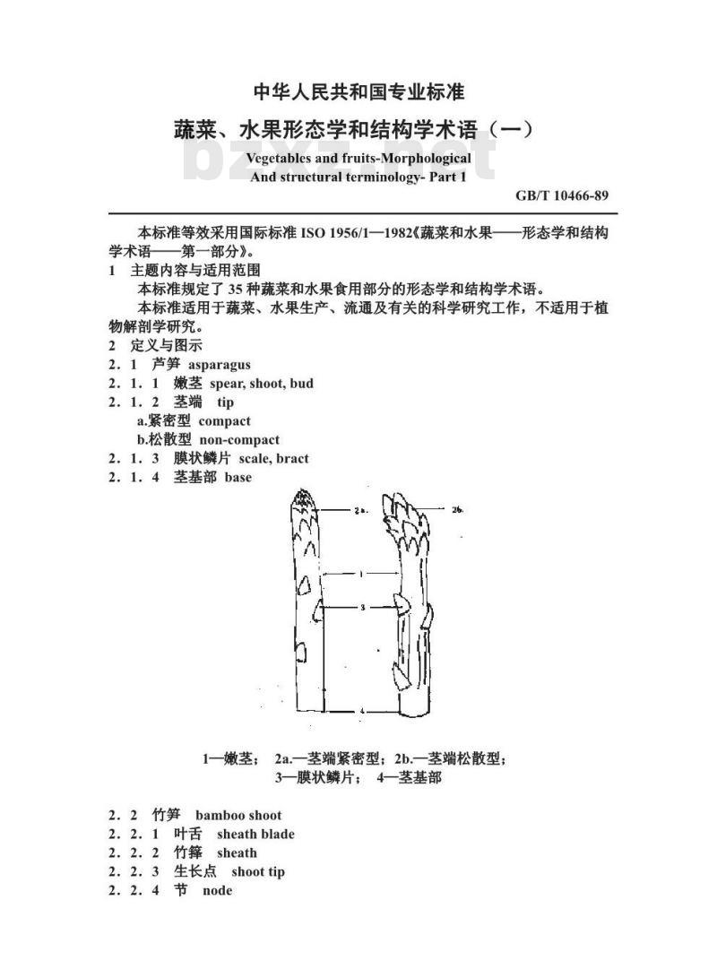 GB/T 10466-1989 蔬菜、水果形态学和结构学术语