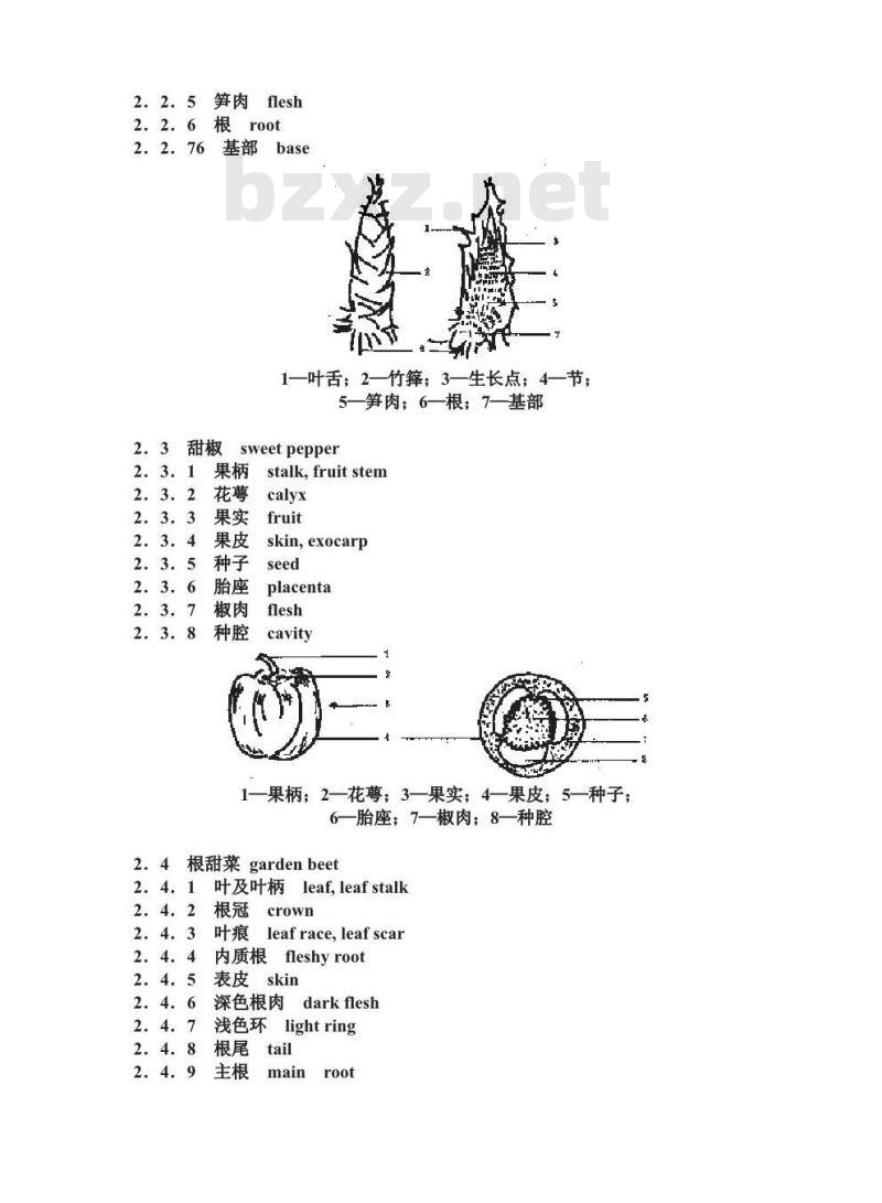 GB/T 10466-1989 蔬菜、水果形态学和结构学术语