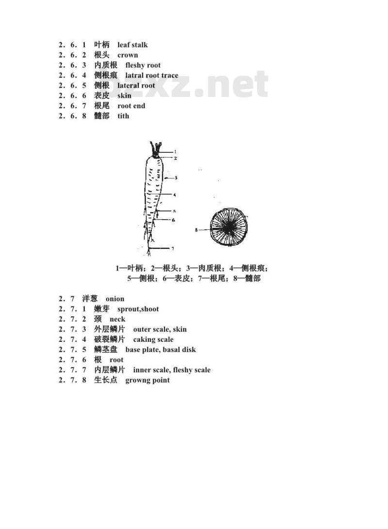 GB/T 10466-1989 蔬菜、水果形态学和结构学术语