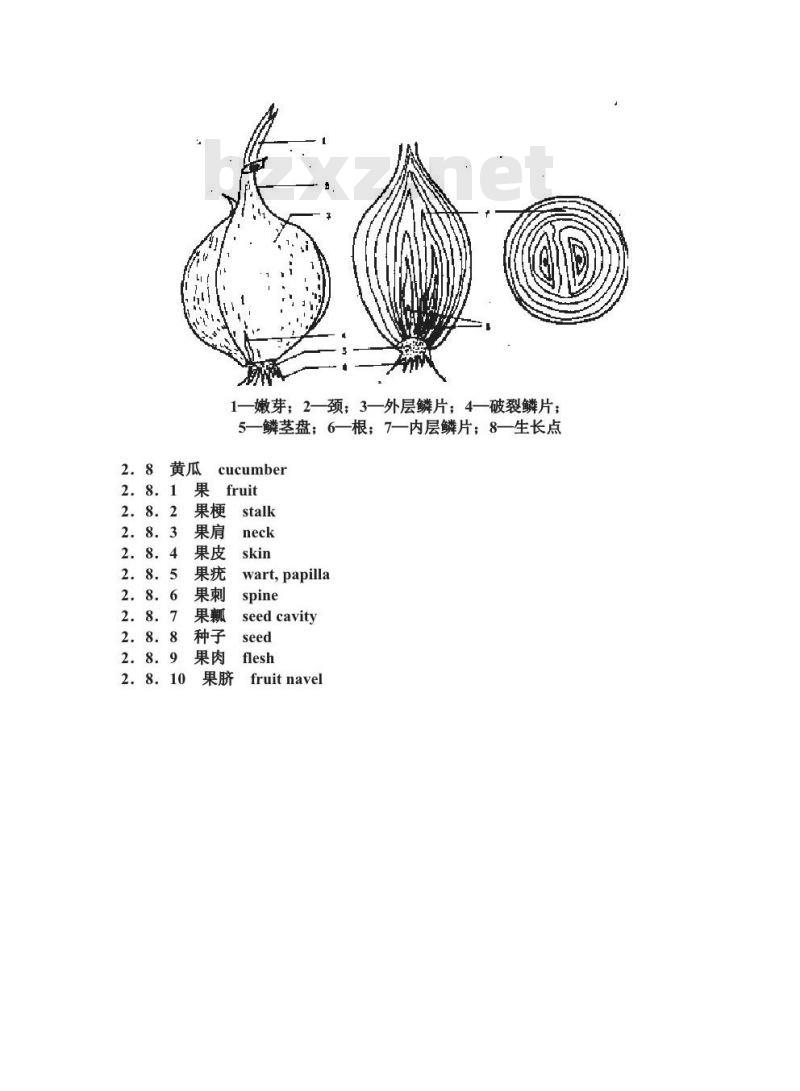 GB/T 10466-1989 蔬菜、水果形态学和结构学术语