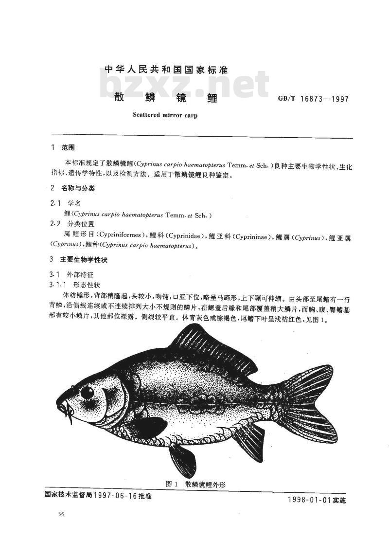 GB/T 16873-1997 散鳞镜鲤