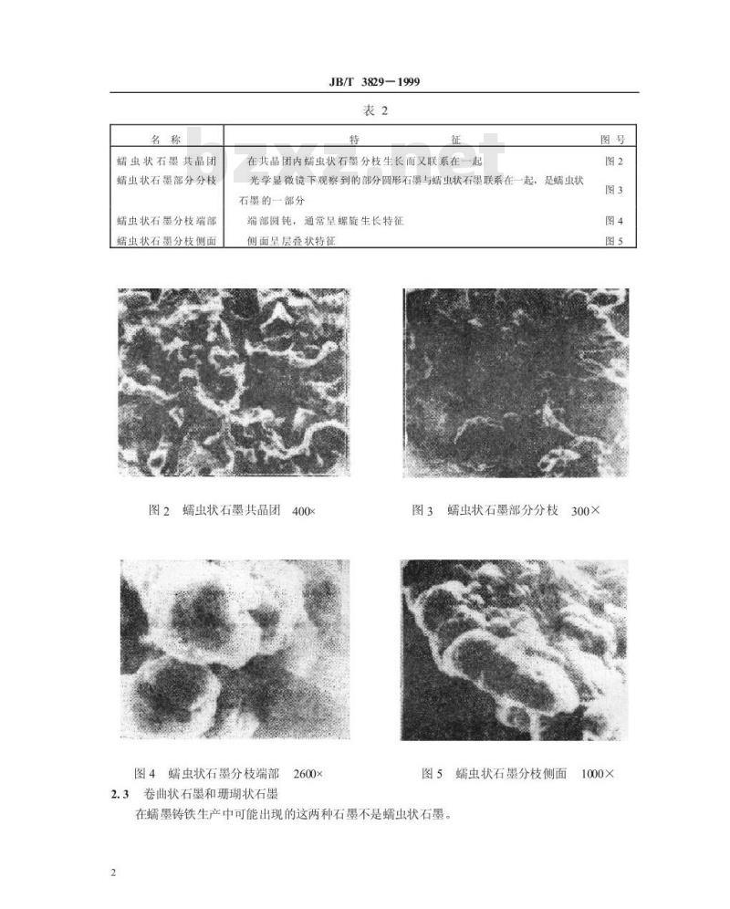 JB/T 3829-1999 蠕墨铸铁 金相