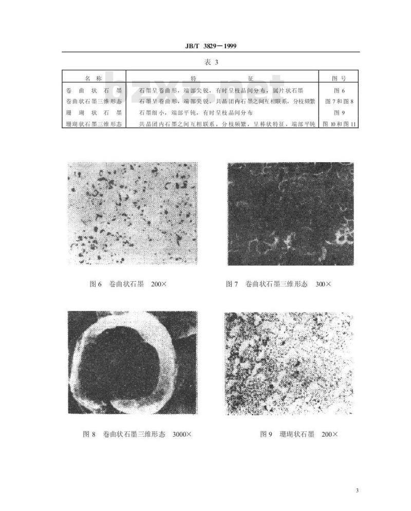 JB/T 3829-1999 蠕墨铸铁 金相