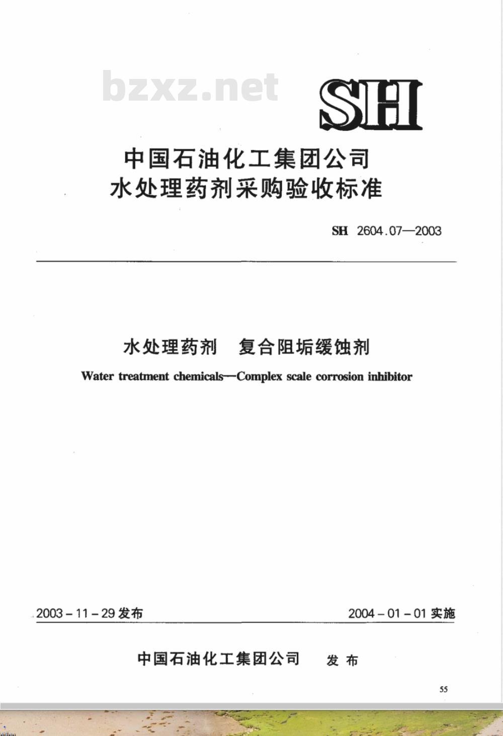 SH 2604.07-2003 水处理药剂 复合阻垢缓蚀剂