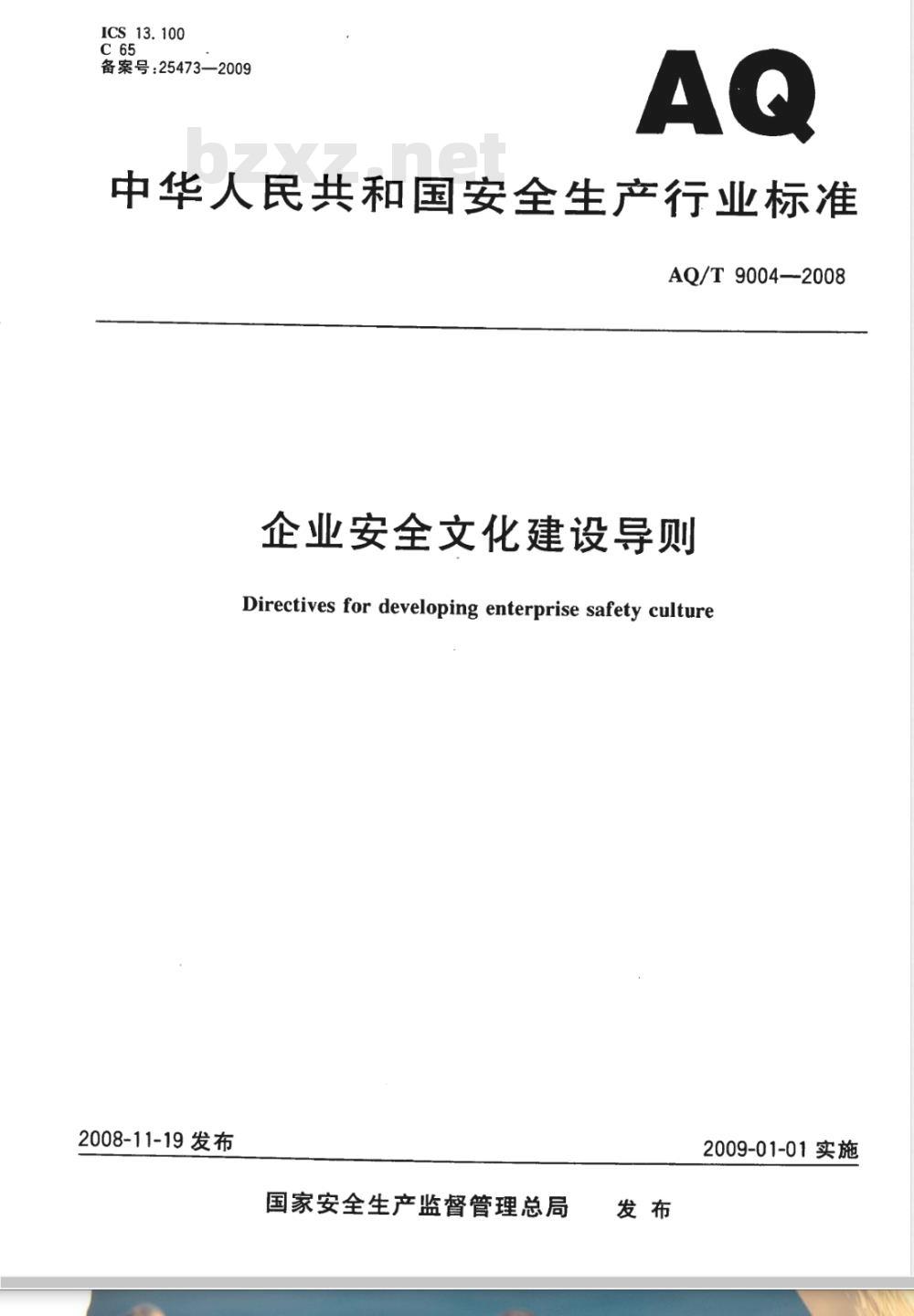 AQ/T 9004-2008 企业安全文化建设导则